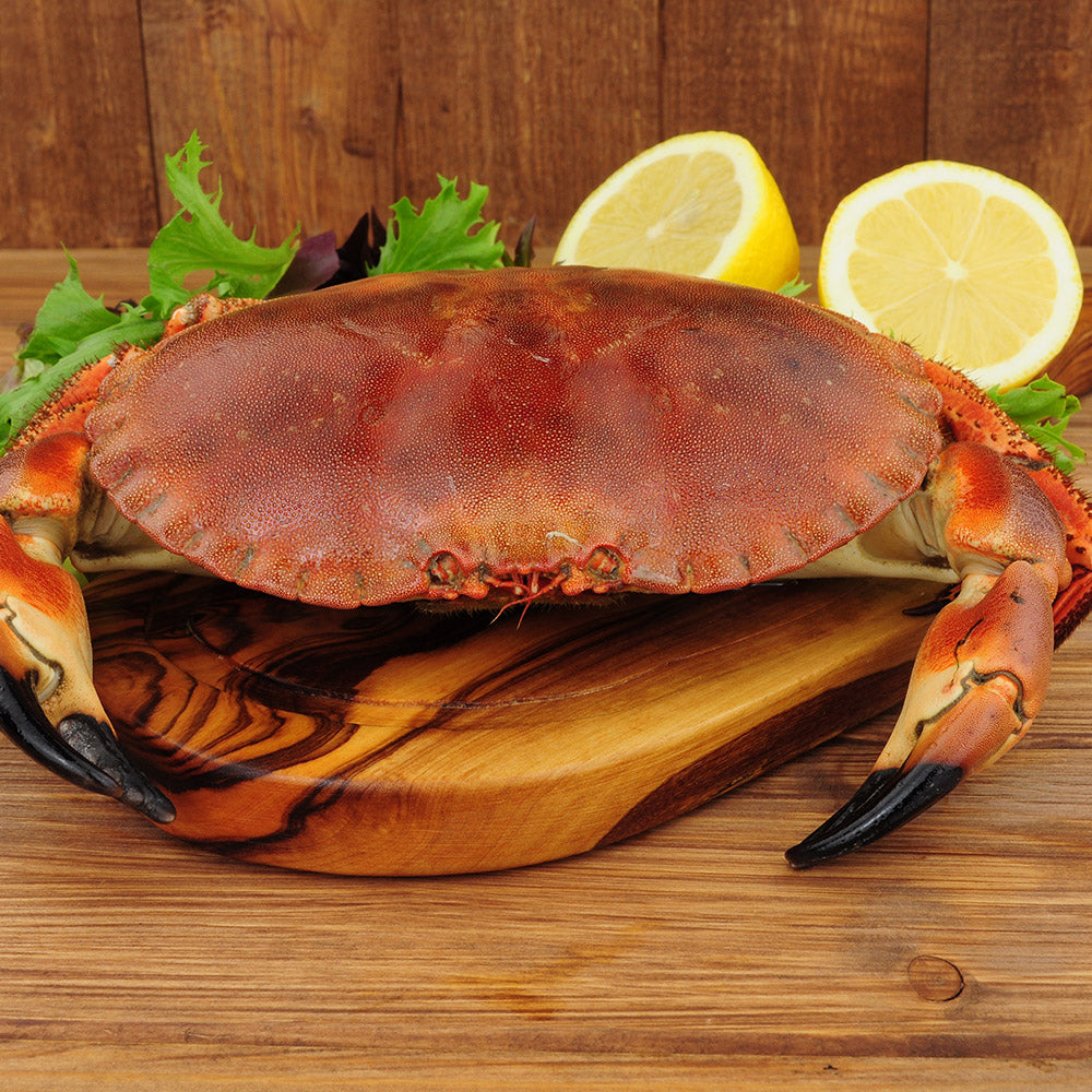Whole Cooked Crab Portland Shellfish Ltd