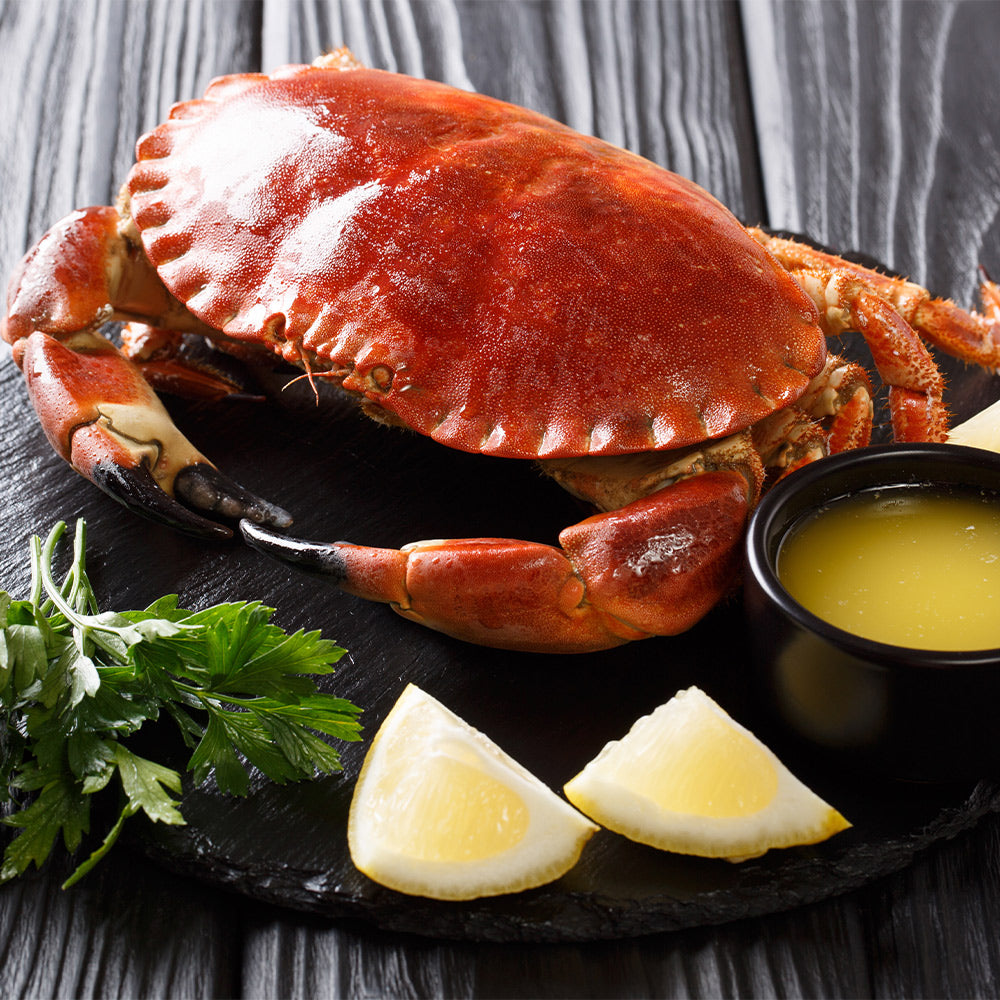 Whole Cooked Crab Portland Shellfish Ltd